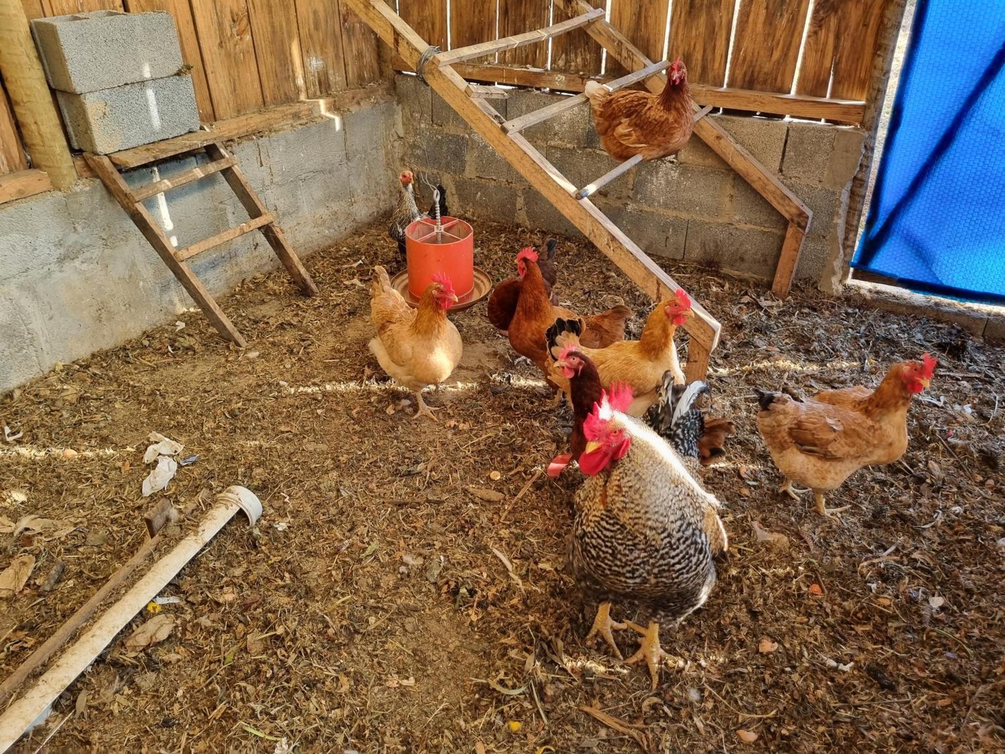 São Roque Chacara Aquila 빌라 외부 사진